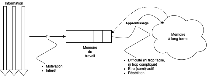 Mécanismes menant à l’apprentissage.